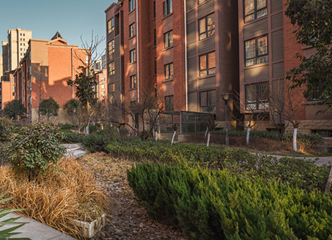 五指山社区有害生物防治