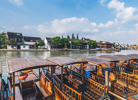 五指山旅游码头有害生物防治