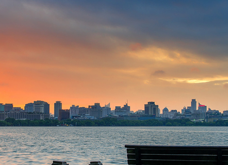 五指山景区环境有害生物防治