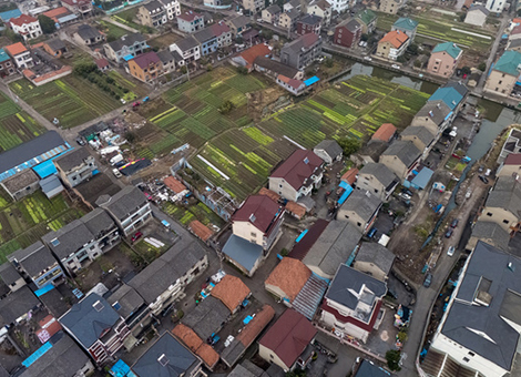 五指山集镇有害生物防治