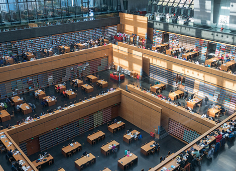 五指山图书馆有害生物防治