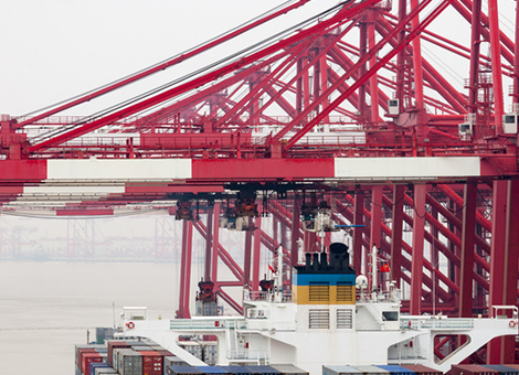 五指山贸易港口有害生物防治