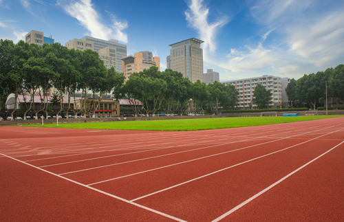 学校有害生物综合防治