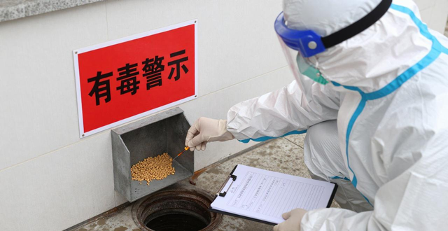 灭鼠培训_学校灭鼠_学校灭鼠方案及报价