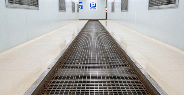 灭蟑螂的化学品_食品厂灭蟑螂_蟑螂灭杀