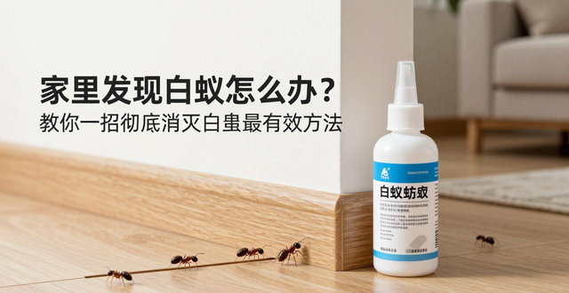 灭白蚁的收费标准_灭白蚁找哪个部门_灭白蚁